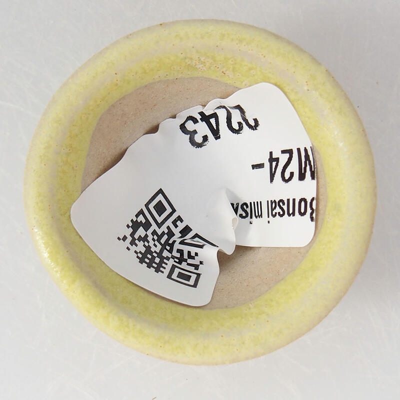 Mini bonsai 3 x 3 x 2 cm, giallo