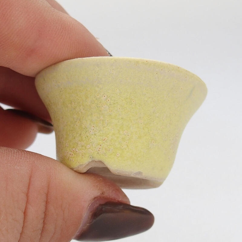 Mini bonsai 3 x 3 x 2 cm, giallo