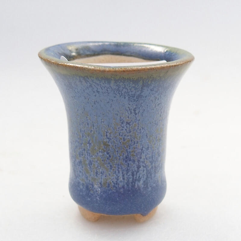 Mini bonsai 3 x 3 x 3,5 cm, colore blu