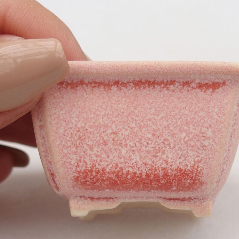 Mini bonsai 4,5 x 3,5 x 2,5 cm, rosa