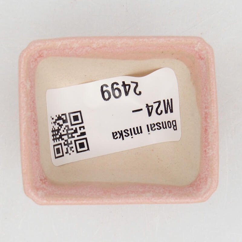 Mini bonsai 4,5 x 3,5 x 2,5 cm, rosa