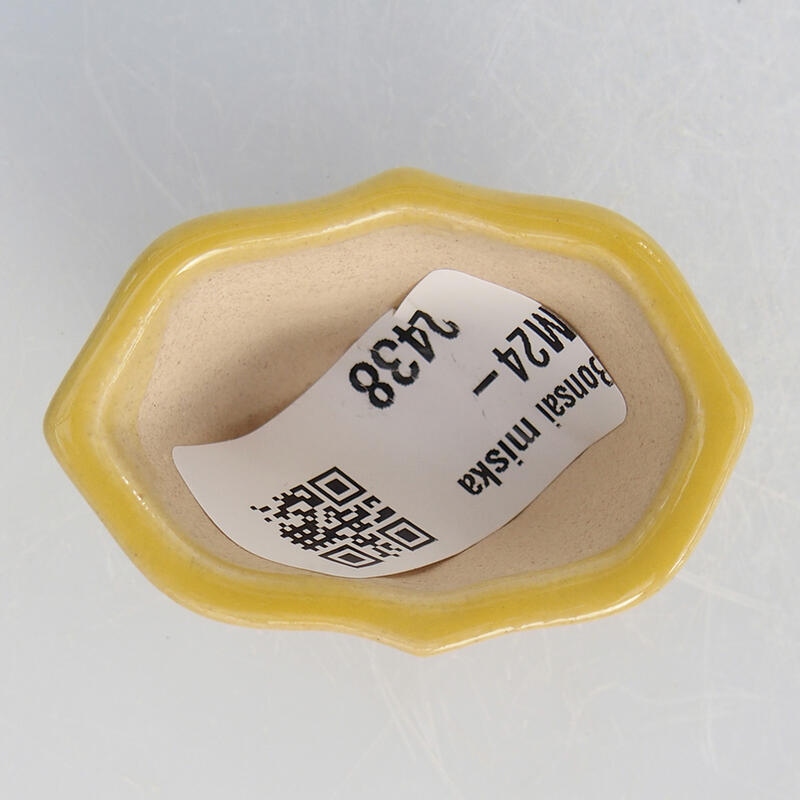 Mini bonsai 4,5 x 3,5 x 2,5 cm, giallo