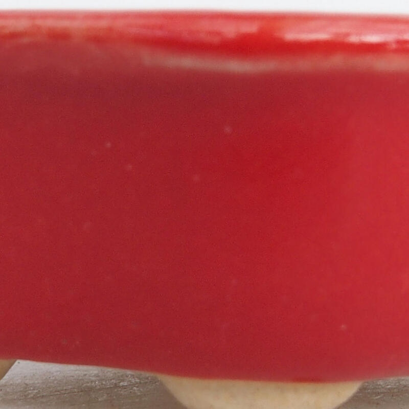 Mini bonsai 4,5 x 3,5 x 2 cm, colore rosso