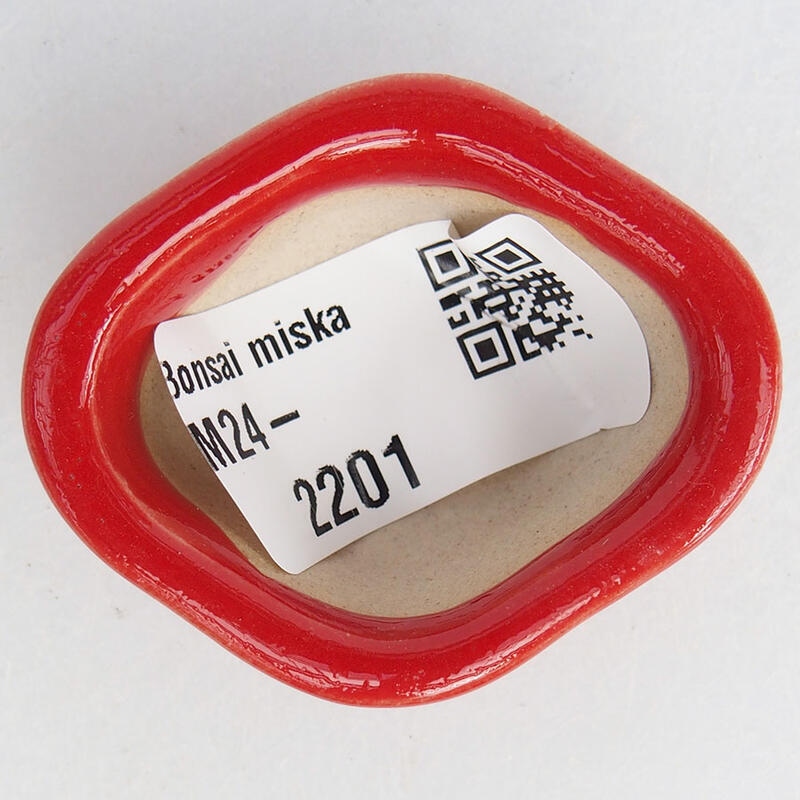 Mini bonsai 4,5 x 3,5 x 2 cm, colore rosso