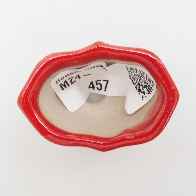 Mini bonsai 4,5 x 3 x 2,5 cm, colore rosso