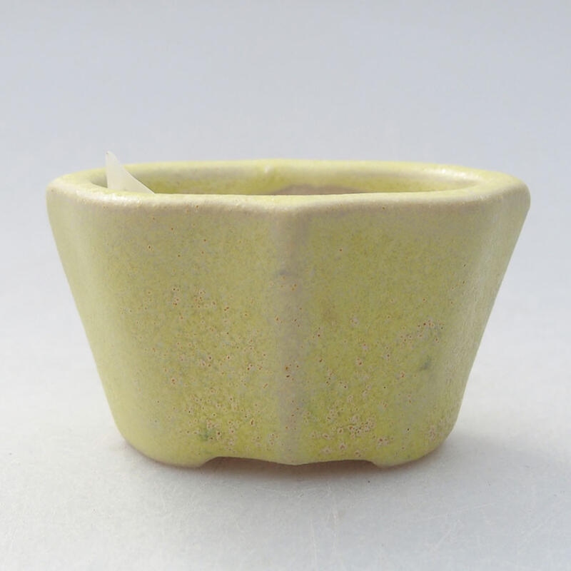 Mini bonsai 4,5 x 3 x 2,5 cm, giallo