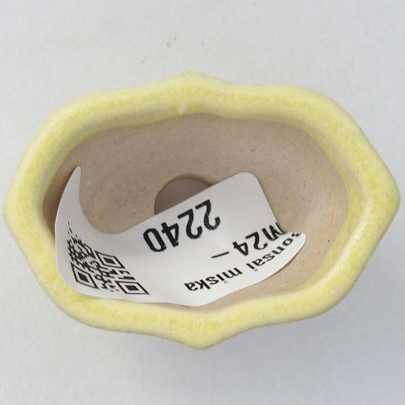 Mini bonsai 4,5 x 3 x 2,5 cm, giallo