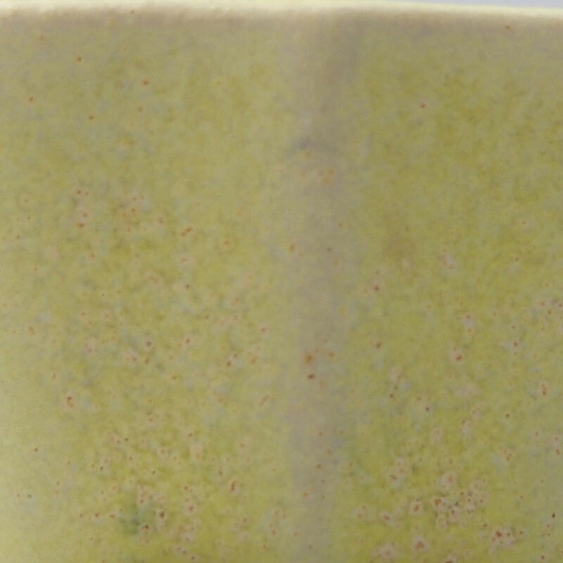 Mini bonsai 4,5 x 3 x 2,5 cm, giallo