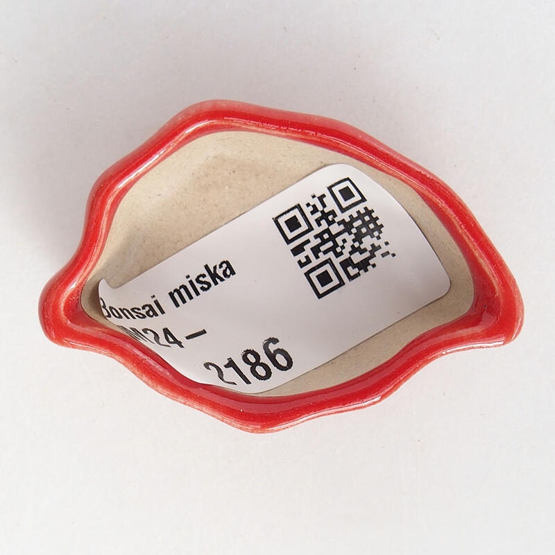 Mini bonsai 4,5 x 3 x 2 cm, colore rosso