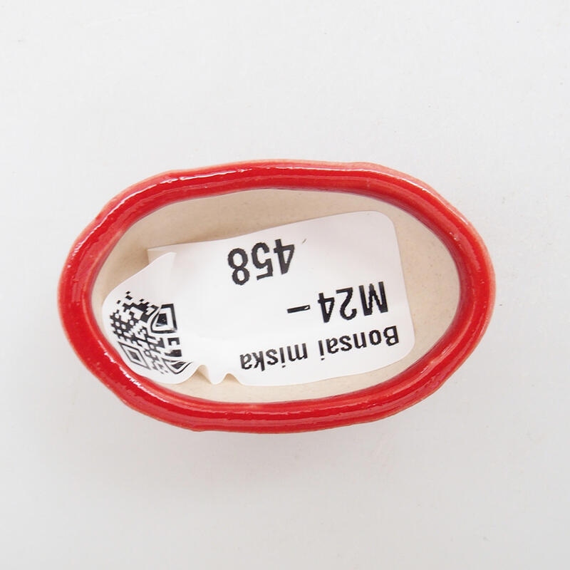 Mini bonsai 4,5 x 3 x 2 cm, colore rosso