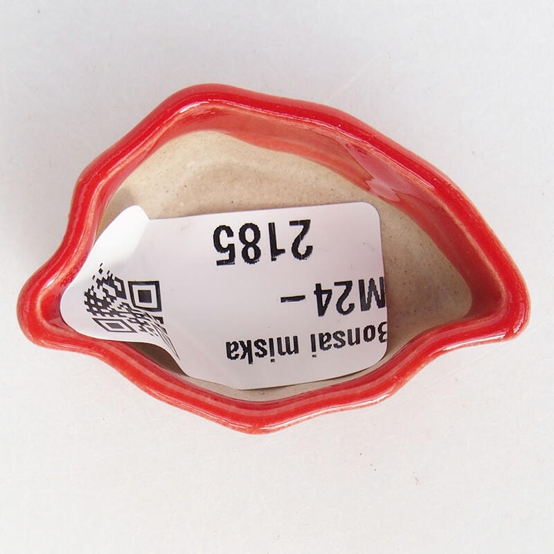 Mini bonsai 4,5 x 3 x 2 cm, colore rosso