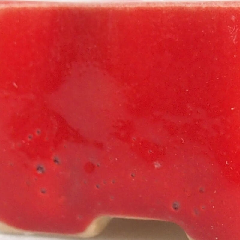 Mini bonsai 4,5 x 3 x 2 cm, colore rosso