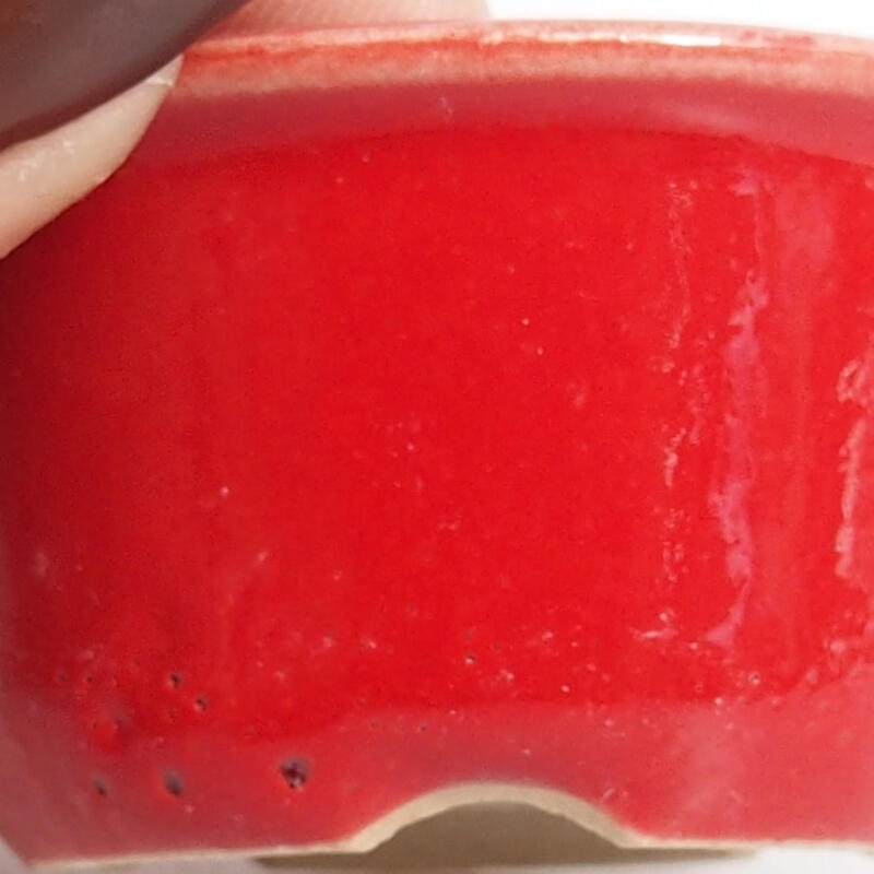 Mini bonsai 4,5 x 4,5 x 2,5 cm, colore rosso