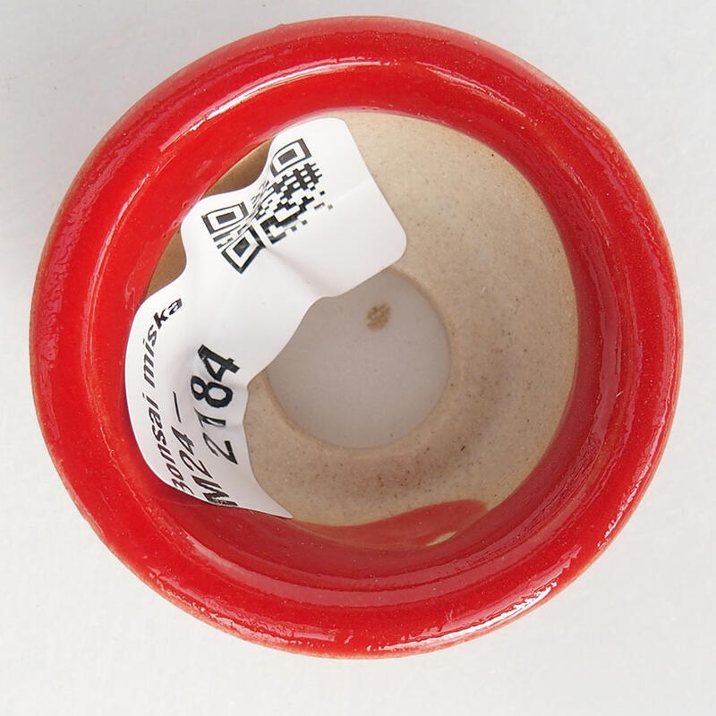 Mini bonsai 4,5 x 4,5 x 2,5 cm, colore rosso