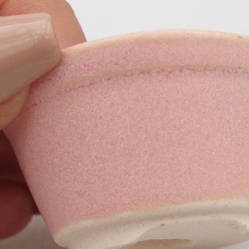 Mini bonsai 4,5 x 4,5 x 2,5 cm, rosa