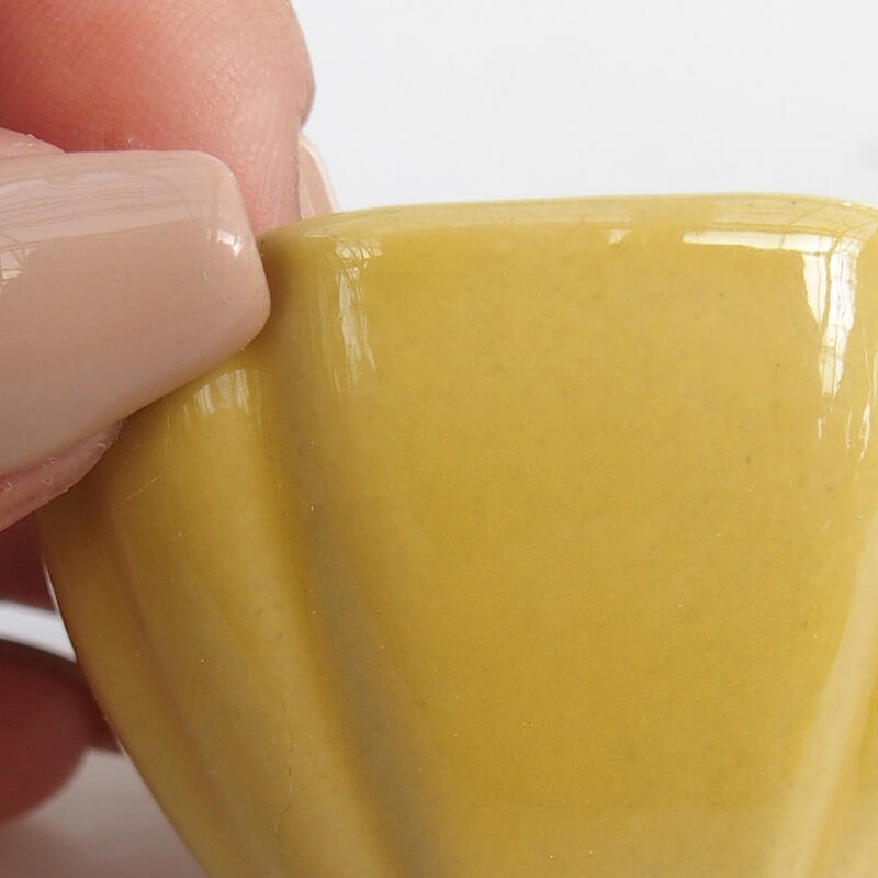 Mini bonsai 4,5 x 4,5 x 2,5 cm, giallo