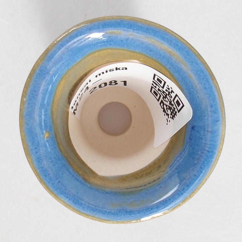 Mini bonsai 4,5 x 4,5 x 4 cm, colore blu