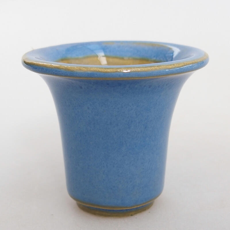 Mini bonsai 4,5 x 4,5 x 4 cm, colore blu