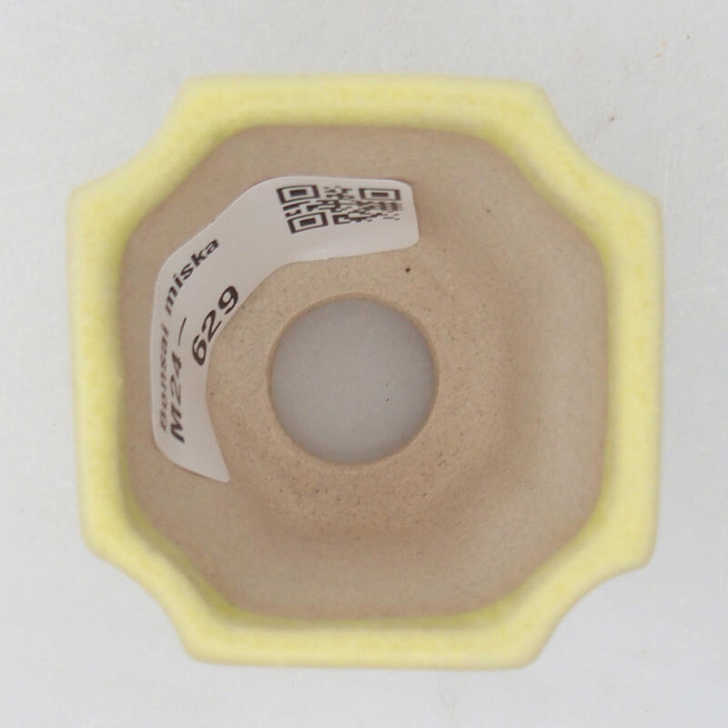 Mini bonsai 4,5 x 4,5 x 4 cm, verde