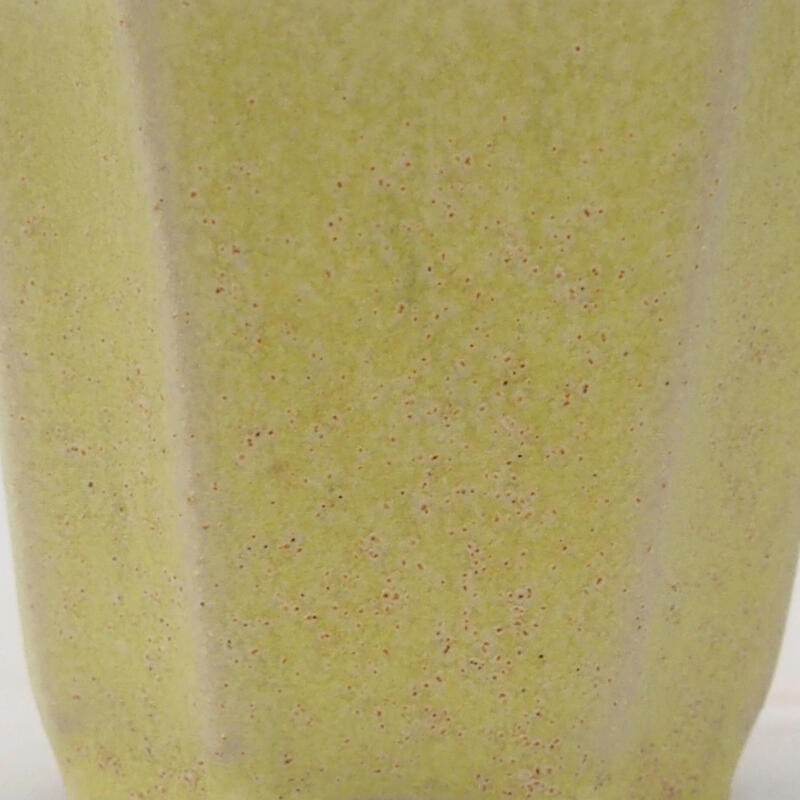 Mini bonsai 4,5 x 4,5 x 4 cm, verde