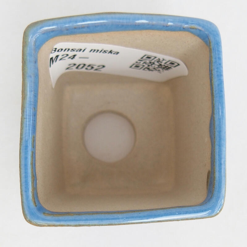 Mini bonsai 4,5 x 4,5 x 5 cm, colore blu