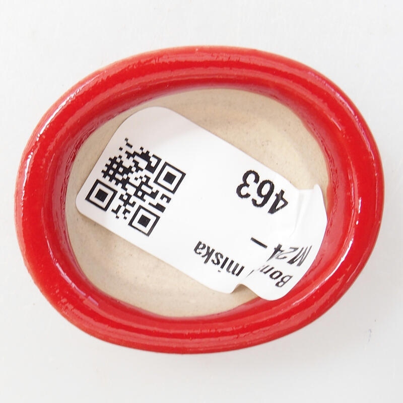 Mini bonsai 4,5 x 4 x 2 cm, colore rosso