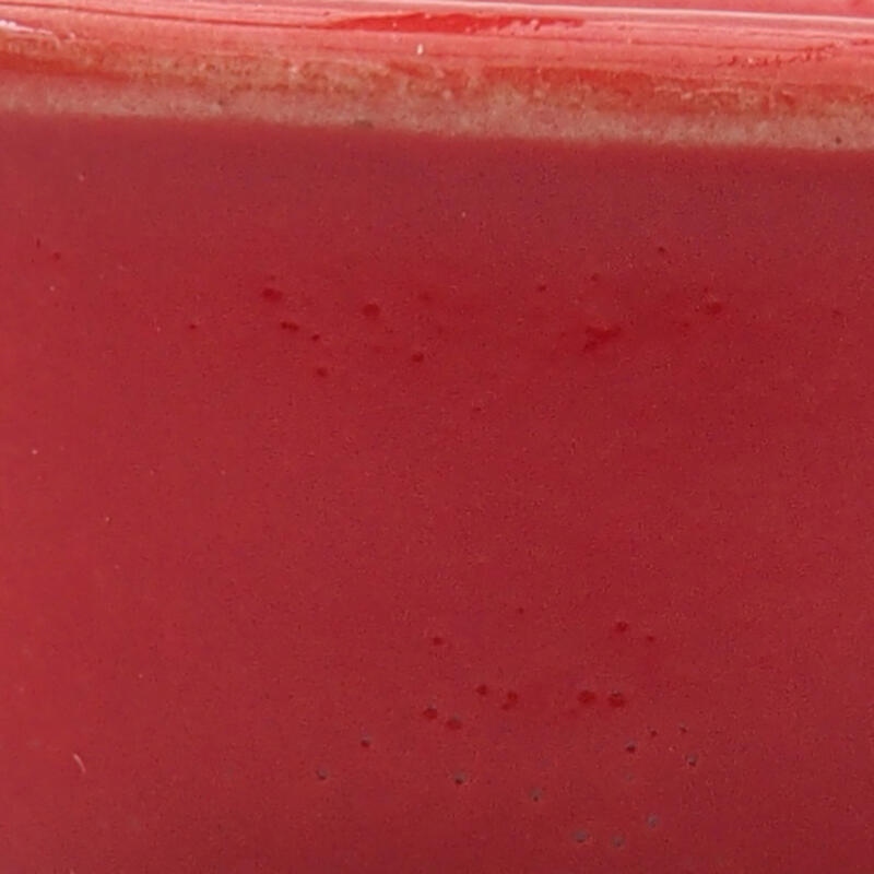 Mini bonsai 4,5 x 4 x 2 cm, colore rosso