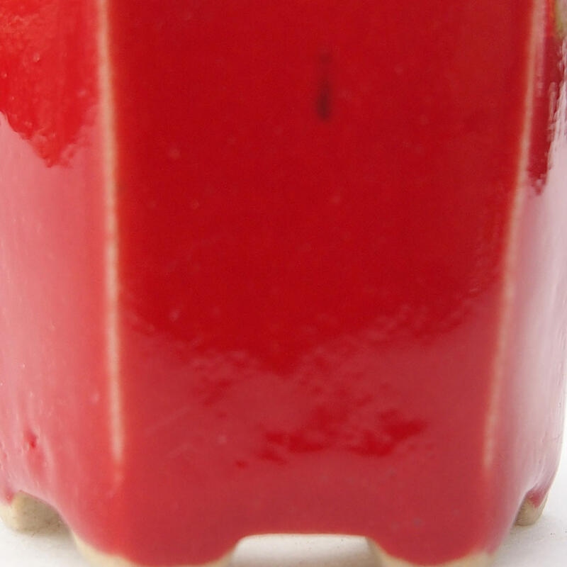 Mini bonsai 4,5 x 4 x 3,5 cm, colore rosso