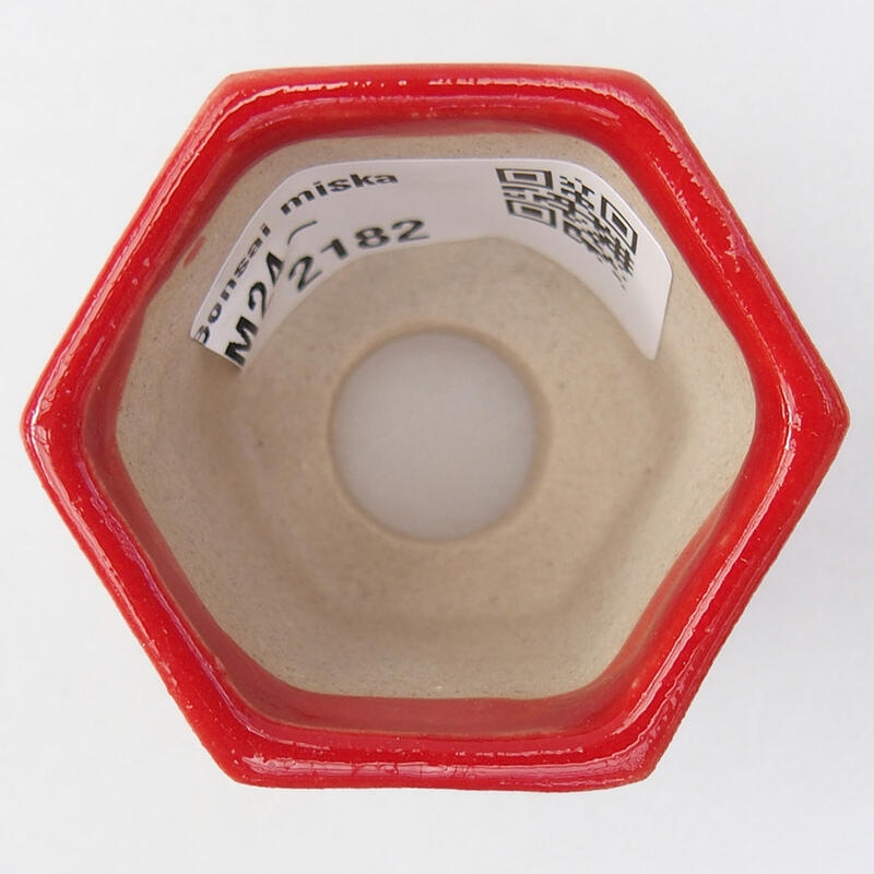 Mini bonsai 4,5 x 4 x 3,5 cm, colore rosso