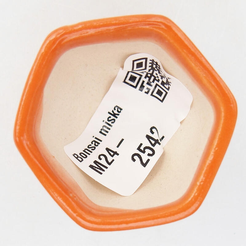 Ciotola per mini bonsai 4,5 x 4 x 3 cm, arancione