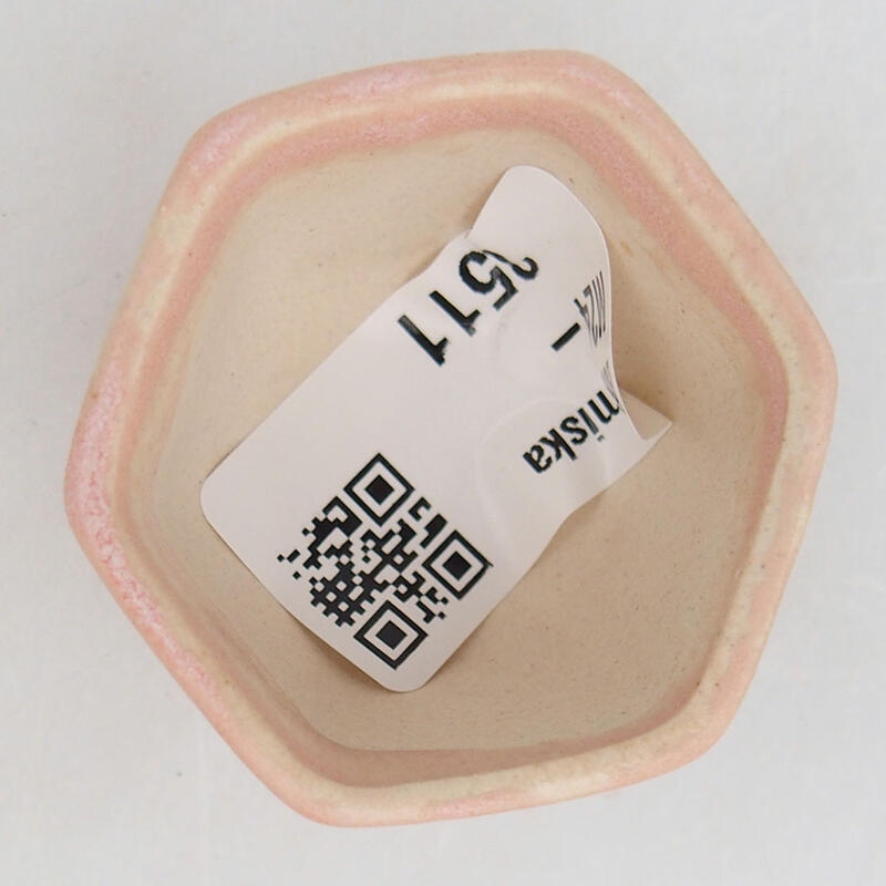 Ciotola per mini bonsai 4,5 x 4 x 3 cm, rosa