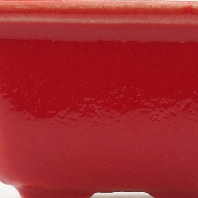 Mini bonsai 4 x 3,5 x 2,5 cm, colore rosso