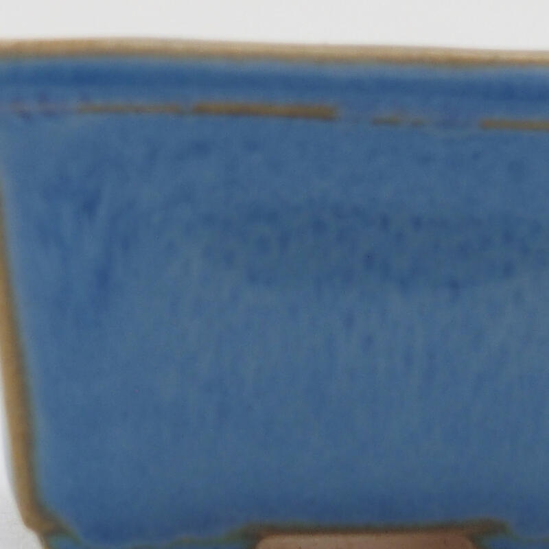 Mini bonsai 4 x 3,5 x 2,5 cm, colore blu