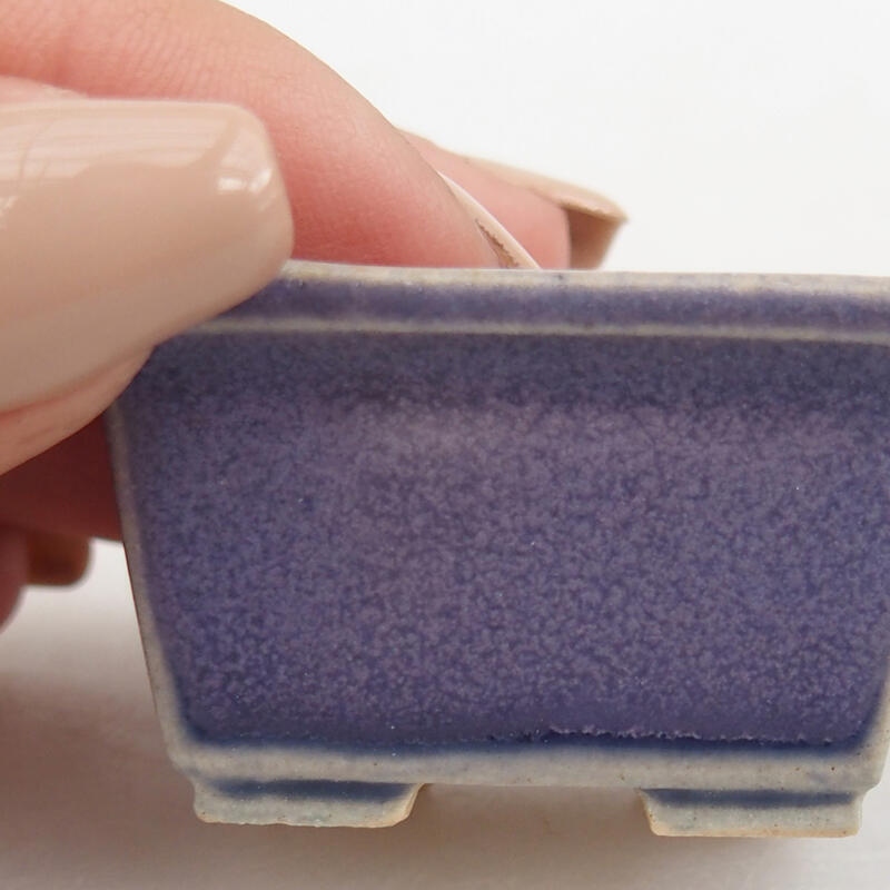 Mini bonsai 4 x 3,5 x 2 cm, colore viola