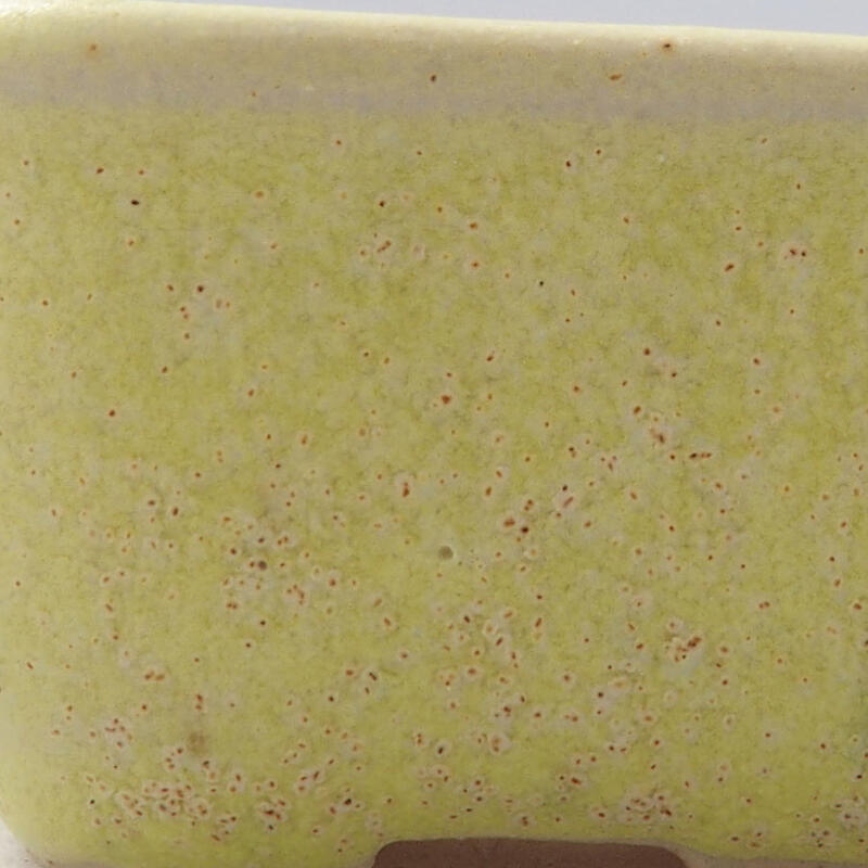 Mini bonsai 4 x 3,5 x 2 cm, giallo