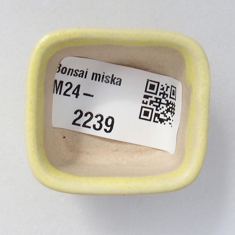 Mini bonsai 4 x 3,5 x 2 cm, giallo