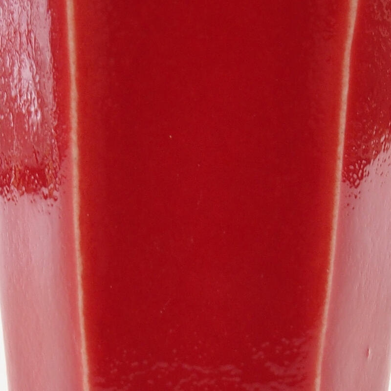 Mini bonsai 4 x 3,5 x 6 cm, colore rosso