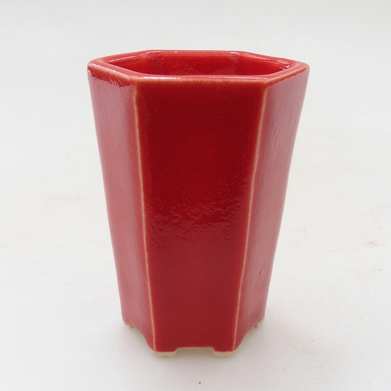 Mini bonsai 4 x 3,5 x 6 cm, colore rosso