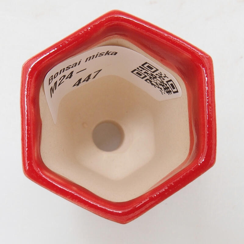 Mini bonsai 4 x 3,5 x 6 cm, colore rosso