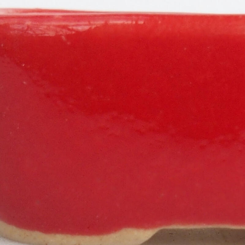 Mini bonsai 4 x 3 x 1,5 cm, colore rosso