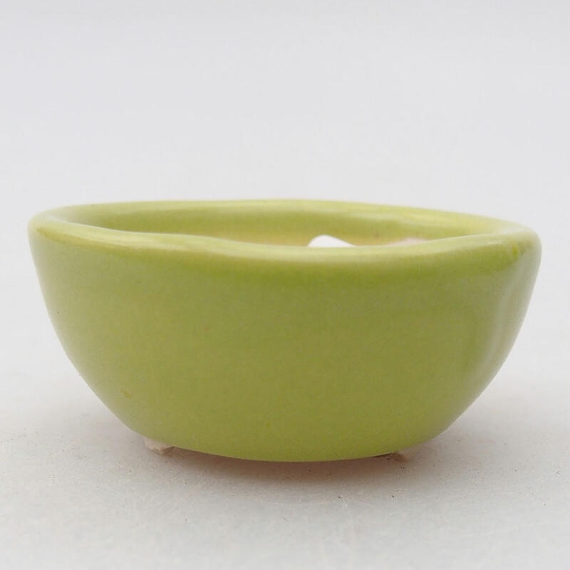 Mini bonsai 4 x 4 x 1,5 cm, verde