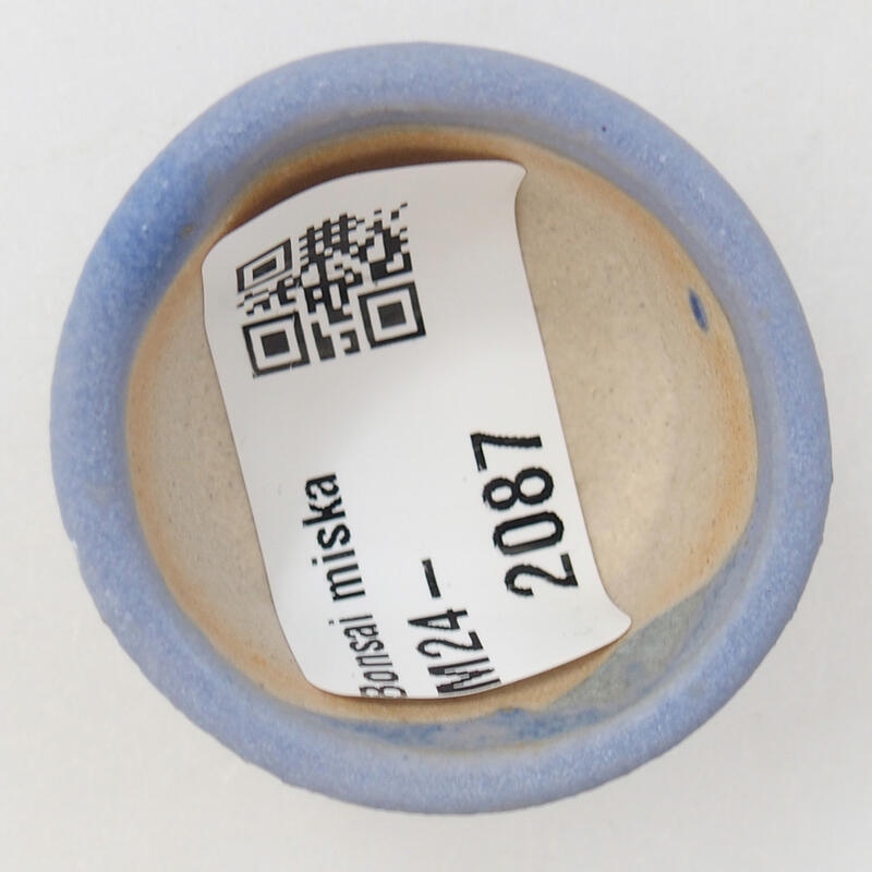 Mini bonsai 4 x 4 x 2,5 cm, colore blu