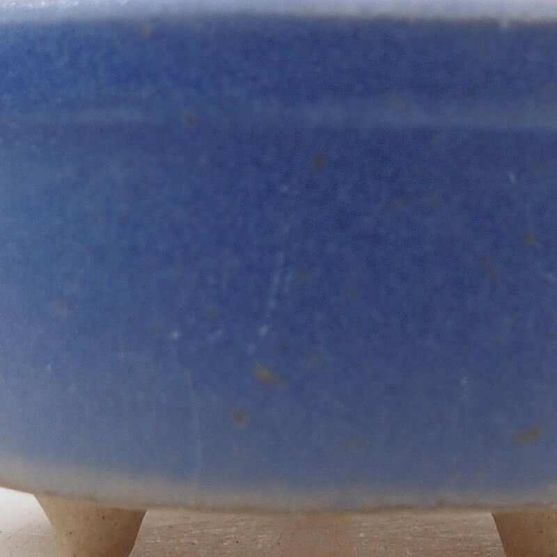 Mini bonsai 4 x 4 x 2,5 cm, colore blu