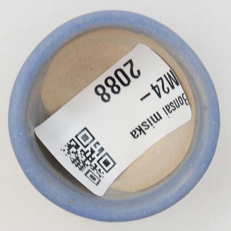 Mini bonsai 4 x 4 x 2,5 cm, colore blu