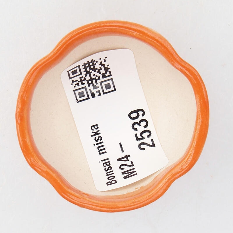 Ciotola per mini bonsai 4 x 4 x 2,5 cm, arancione