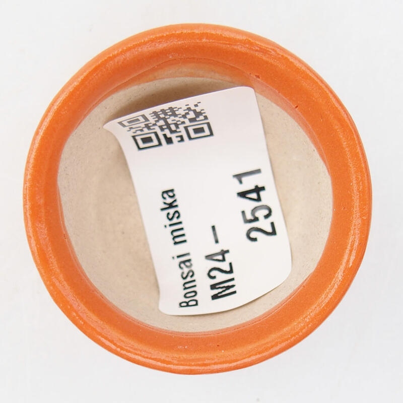 Ciotola per mini bonsai 4 x 4 x 2,5 cm, arancione