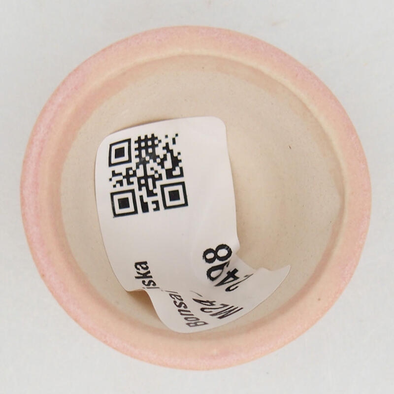 Mini bonsai 4 x 4 x 2,5 cm, rosa