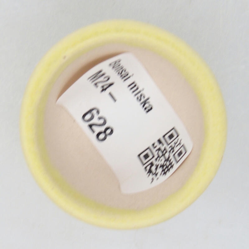 Mini bonsai 4 x 4 x 2,5 cm, verde