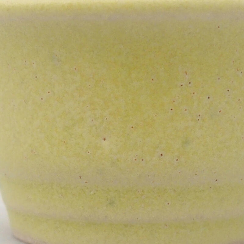 Mini bonsai 4 x 4 x 2,5 cm, verde