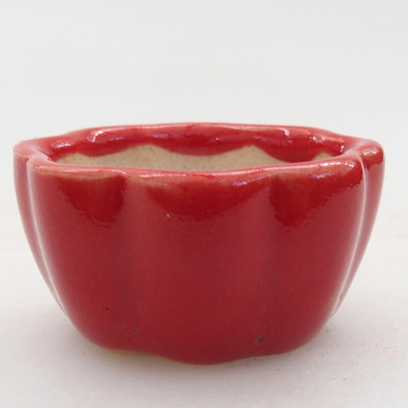 Mini bonsai 4 x 4 x 2 cm, colore rosso